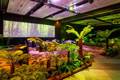 green nature exhibition - av by vidcom